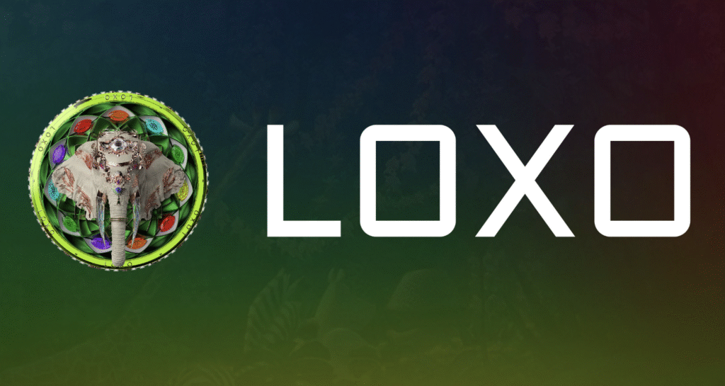 LOXOLOXO